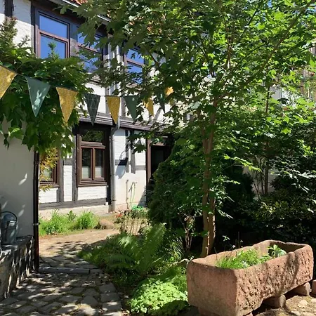 公寓 An Der Blasiikirche - Altstadt